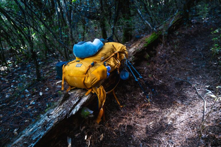 Expert Tips for Selecting the Best Travel Gear for You