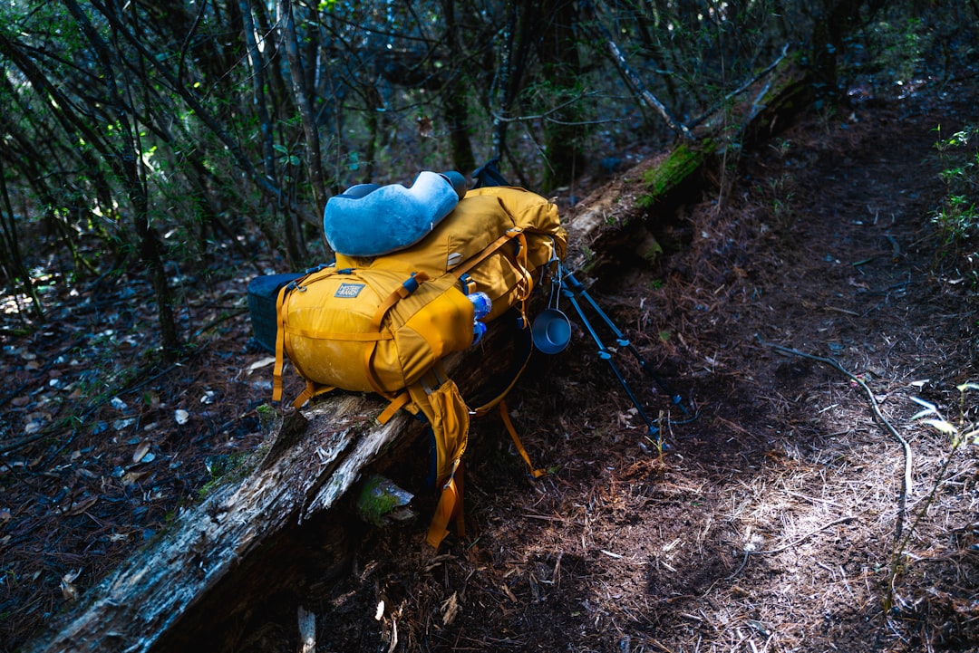 Expert Tips for Selecting the Best Travel Gear for You Expert Tips for Selecting the Best Travel Gear for You